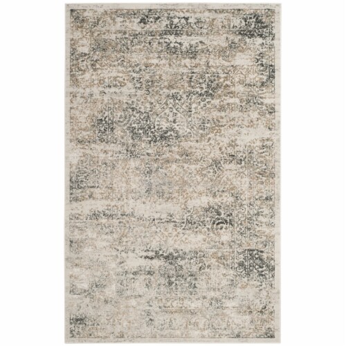 SAFAVIEH Princeton PRN711S Silver / Anthracite Rug 4' x 6' Perspective: front