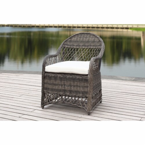 SAFAVIEH Outdoor Collection Davies Wicker Arm Chair with Cushion