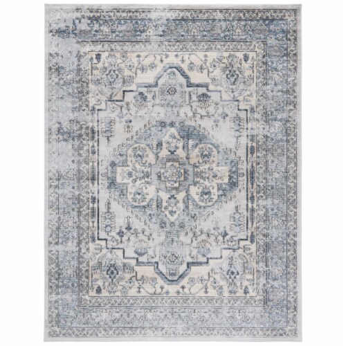 Safavieh Martha Stewart Dacota Oregon Area Rug - Light Blue/Ivory Perspective: front