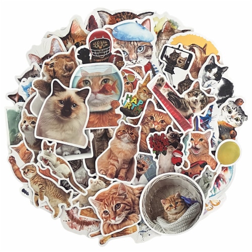 Wrapables Waterproof Vinyl Stickers for Water Bottles, 100pcs, Funny  Felines, 100 Pieces - Foods Co.