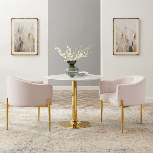 Velvet accent chairs set of 2 deals