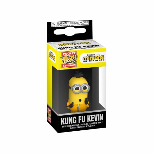funko pop kung fu