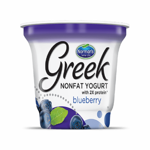 Norman's Blueberry Nonfat Greek Yogurt Perspective: front
