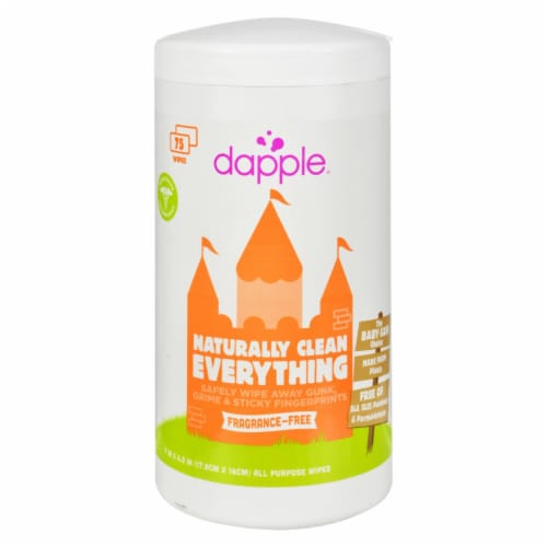 Safe cleaning wipes online