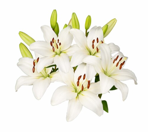 White Lily Combo 5 Stems Perspective: front