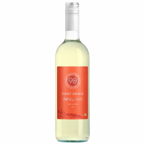 90 + Cellars Lot 42 Pinot Grigio Italy White Wine Perspective: front
