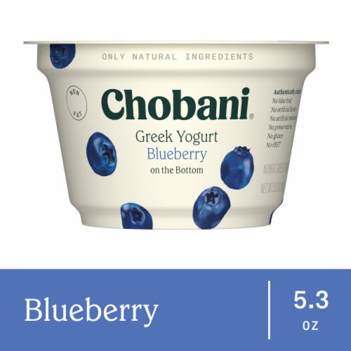 Chobani® Blueberry on the Bottom Nonfat Greek Yogurt Cup Perspective: front