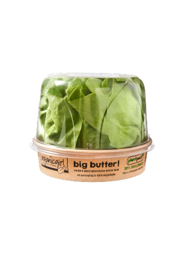 OrganicGirl Big Butter Lettuce Head Perspective: front