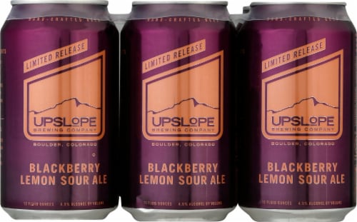 Upslope Brewing Co. Blackberry Lemon Sour Ale Craft Beer Perspective: front