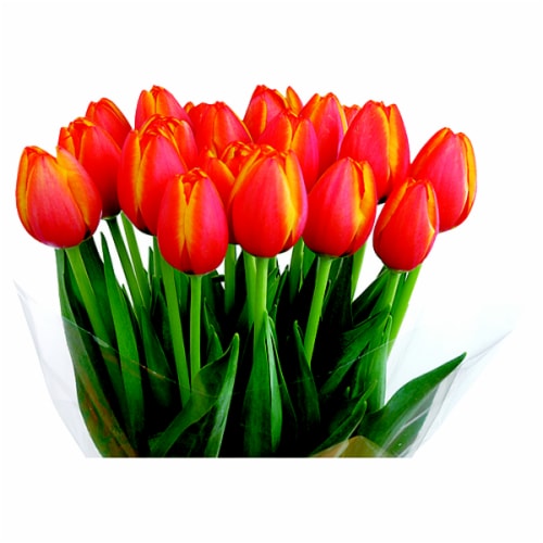 Fresh Cut Tulips Perspective: front