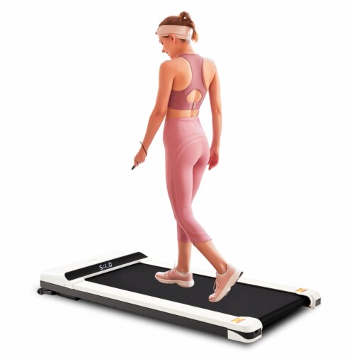 Treadmills in Steel for Home or Office Use No Size Foods Co