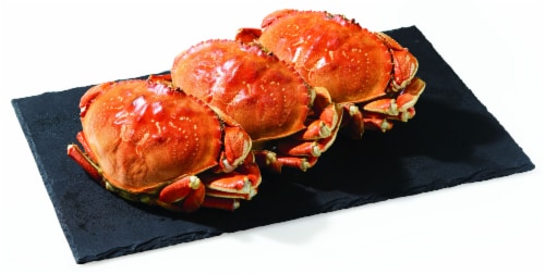 Whole Cooked Dungeness Crab Perspective: front