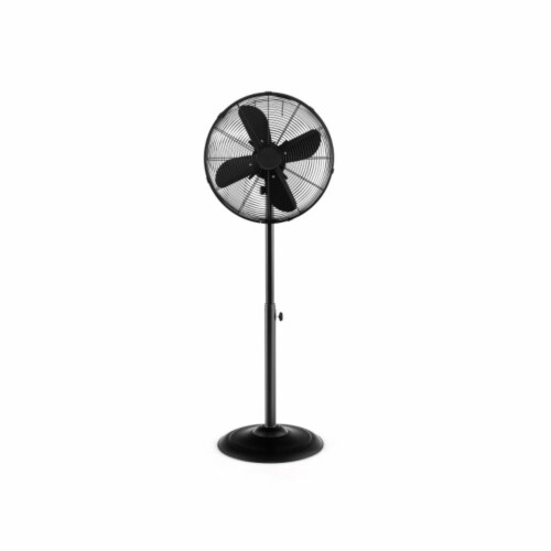 challenge 16 pedestal fan