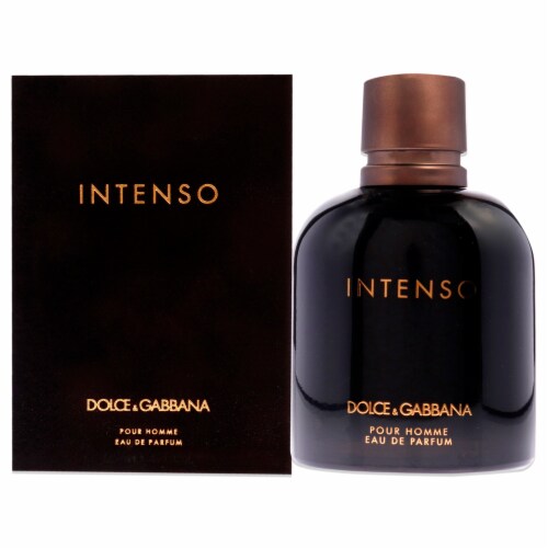 Dolce Gabbana Intenso EDP for Men 4.2 oz 125 ml 3423473020820