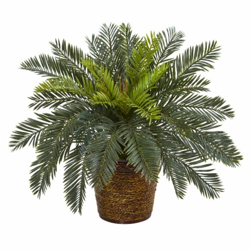 15 inch Cycas Artificial Plant in Basket Perspective: front