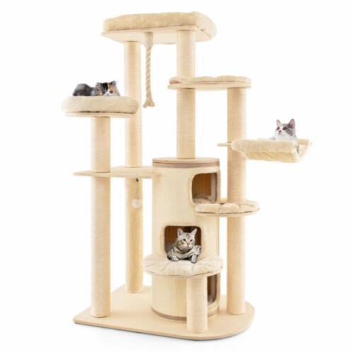 Multi cat condo online