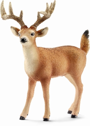 Schleich White-Tailed Buck Figure - Brown Perspective: front