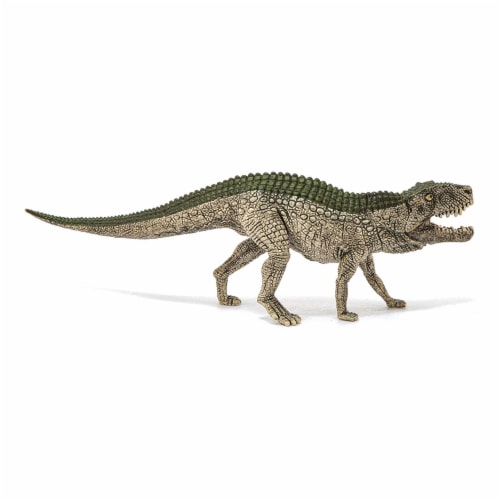 Postosuchus Perspective: front