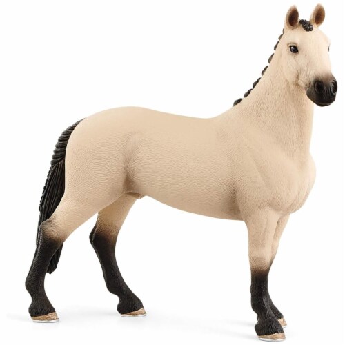 Hannoverian Gelding Hannoverian Gelding