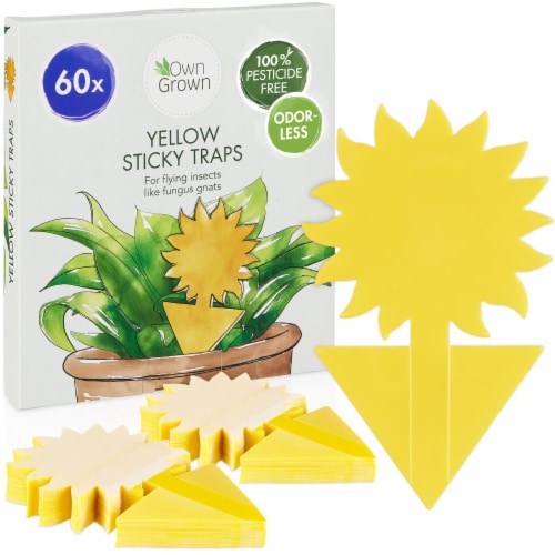 OwnGrown Yellow Sticky Traps for Gnats: 60x - Gnat Traps for House Indoor  Plants, Yellow Flowers - Foods Co.