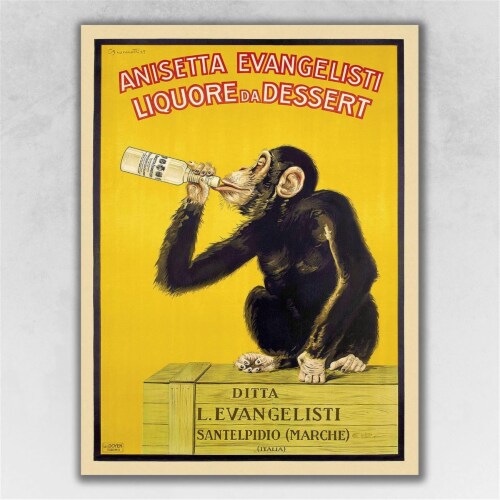 HomeRoots  8.5 x 11 in. Anisetta Evangelisti Italian Liquor Multi Color Wall Art Print Perspective: front