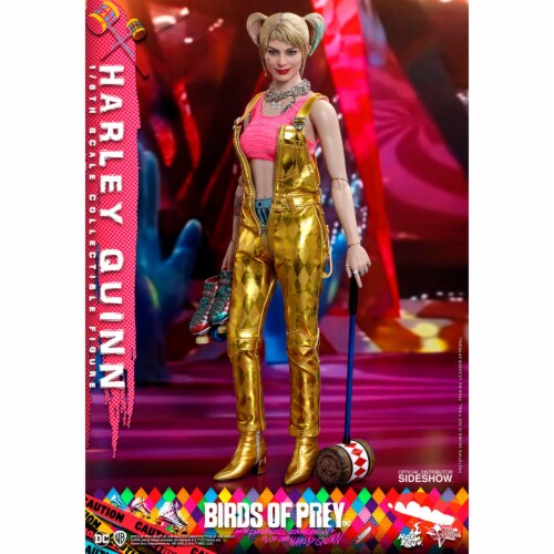 Hot Toys DC Birds Of Prey Harley Quinn 6th Scale Figure, 1 Unit - Fry’s ...