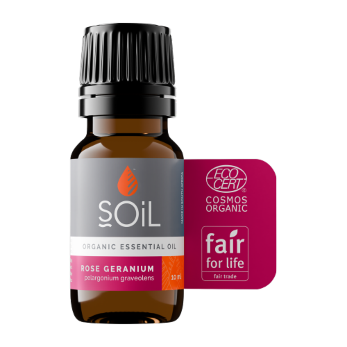SOiL Organic Rose Geranium Essential Oil (Pelargoneum Graveolens) 10ml Perspective: front