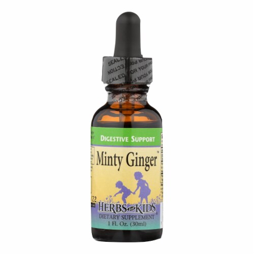 Herbs For Kids Minty Ginger - 1 fl oz Perspective: front