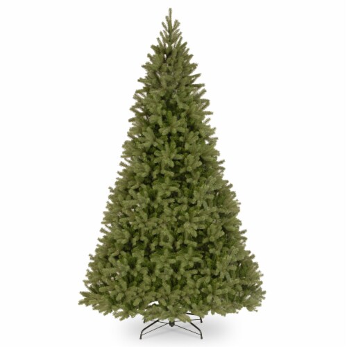 Ergode 10 ft. Downswept Douglas(R) Fir Tree Perspective: front
