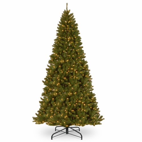 Ergode 10 ft. North Valley Spruce Tree with Clear Lights Perspective: front