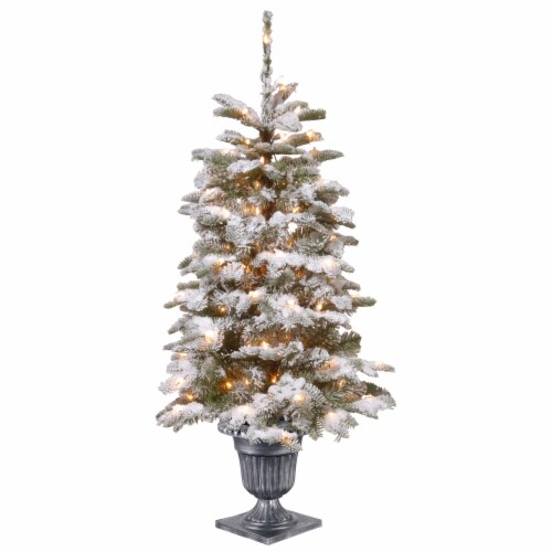 Ergode 4 ft. Snowy Camden Entrance Tree with Clear Lights Perspective: front