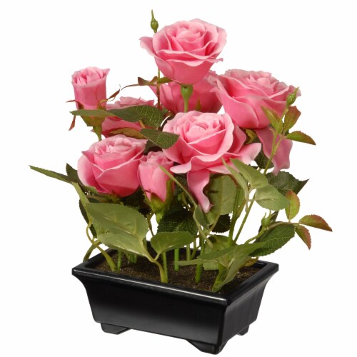 Ergode 10  Potted Pink Rose Flowers Perspective: front