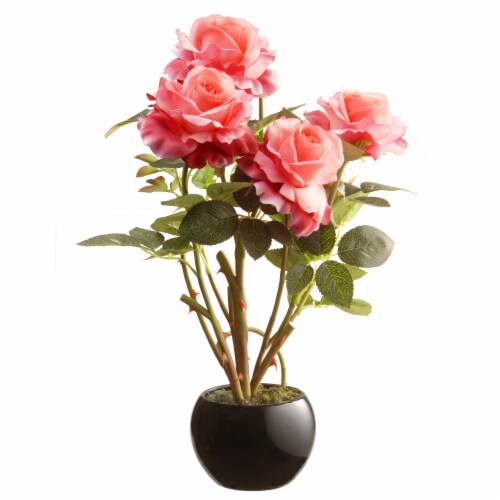 Ergode 16.5  Pink Rose Flower Perspective: front
