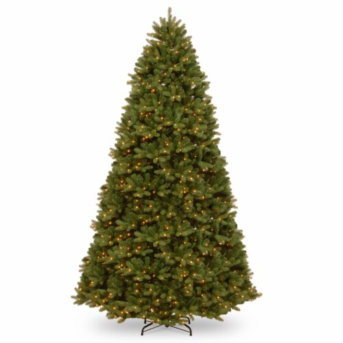 Ergode 10 ft. Newberry Spruce Tree with Clear Lights Perspective: front