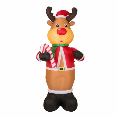 fred the reindeer barkbox