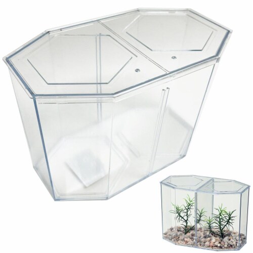 1 Dual Betta Hex Kit Tank Pet Aquatic Fishes Aquarium Habitat Office Home Decor Perspective: front
