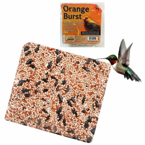 All Season Suet Wild Bird Food Cake Treat 11.25 oz Heath Outdoor Orange Burst Perspective: front