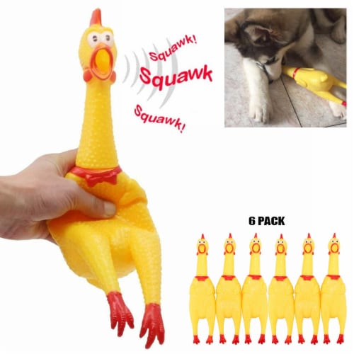 Squeaky rubber sales chicken dog toy