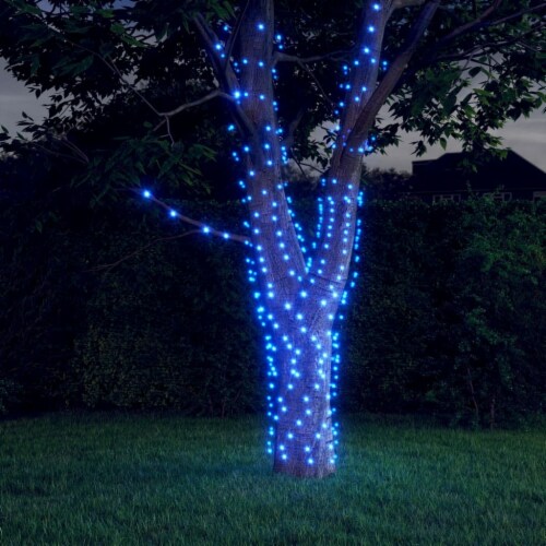 vidaXL Solar Fairy Lights 2 pcs 2x200 LED Blue Indoor Outdoor Perspective: front