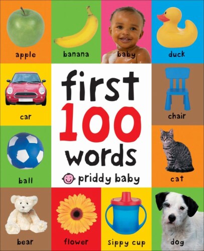 First 100 Words Board Book by Priddy Baby Perspective: front