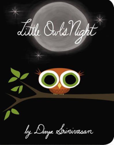 Little Owl's Night by Divya Srinivasan Perspective: front