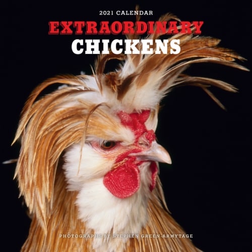 2021 Extraordinary Chickens Wall Calendar by Andrews McMeel Publishing
