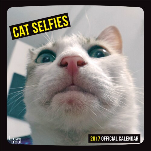 2017 Cat Selfies Wall Calendar, 12 x 12 in Kroger