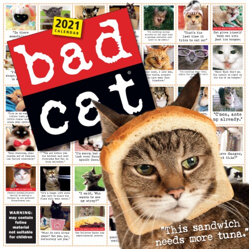 2021-bad-cat-wall-calendar-by-workman-publishing-1-ct-kroger