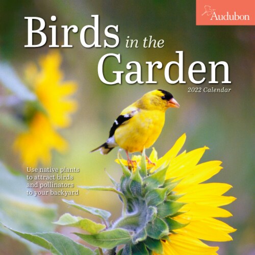 2022 Birds in the Garden Wall Calendar by Workman Publishing, 1 ct Ralphs