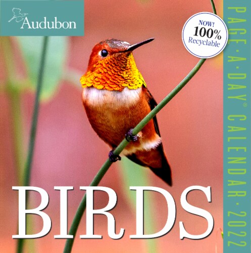 2022 Audubon Birds Page a Day Calendar By Workman Publishing 1 Ct Ralphs