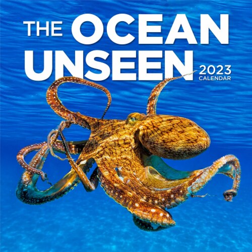 Workman Publishing 2023 Wall Calendar - The Ocean Unseen Perspective: front