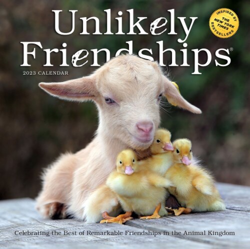 2023 Unlikely Friendships Wall Calendar by Workman Publishing, 1 ct 