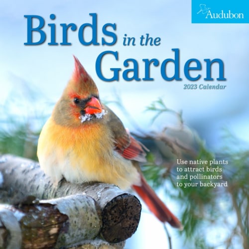 2023 Birds in The Garden Wall Calendar by Workman Publishing, 1 ct Kroger
