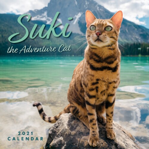 2021 Suki the Adventure Cat Wall Calendar by Andrews McMeel Publishing